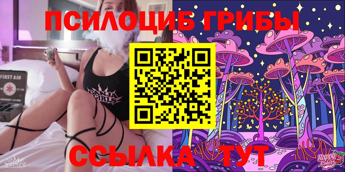 Галлюциногенные грибы Psilocybe  Вход с VPN  Озёры  Галлюциногенные грибы Cubensis 